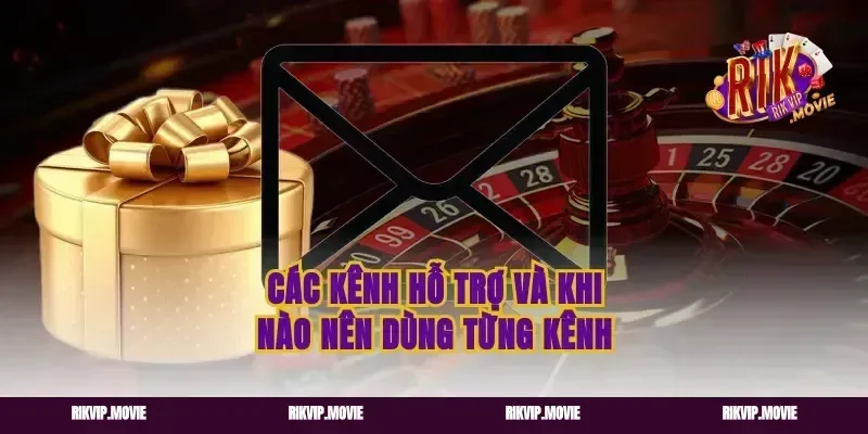 Các kênh hỗ trợ và khi nào nên dùng từng kênh