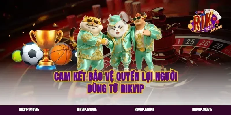 Cam Kết Bảo Vệ Quyền Lợi Người Dùng Từ Rikvip