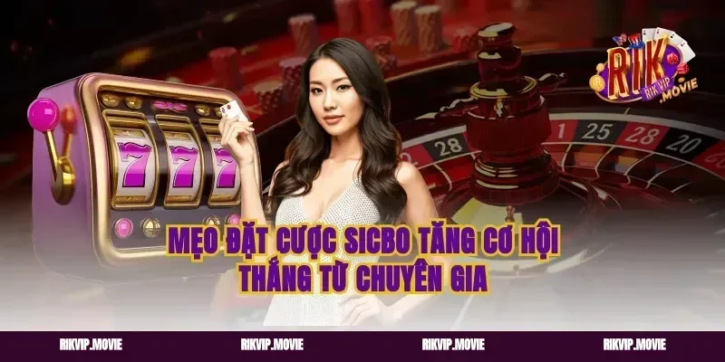 Mẹo đặt cược Sicbo tăng cơ hội thắng từ chuyên gia