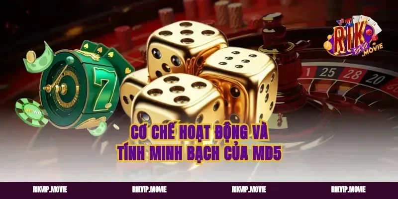 Cơ chế hoạt động và tính minh bạch của MD5