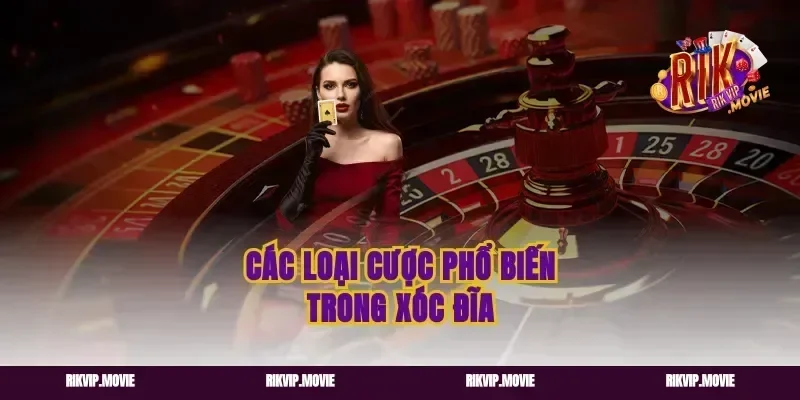 Các loại cược phổ biến trong xóc đĩa